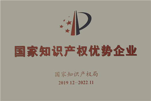 Excellent National Intellectual Property Enterprises