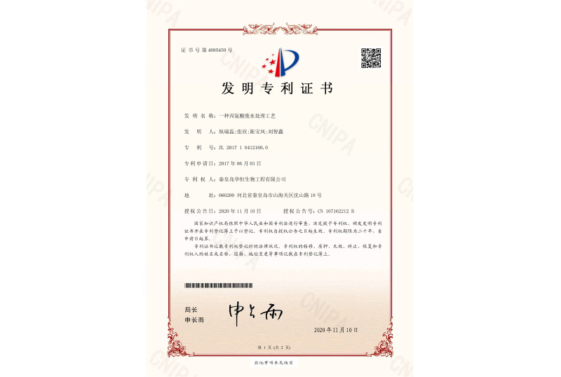 Alanine Patent Certificate