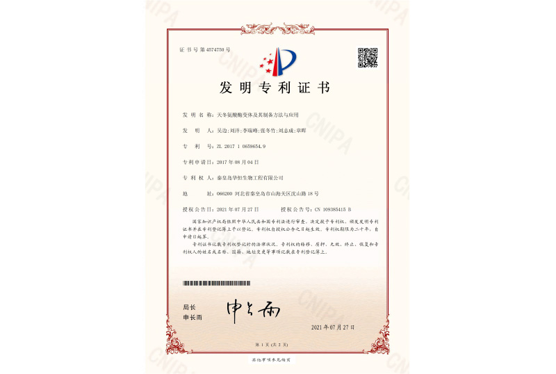 Aspartate patent certificate
