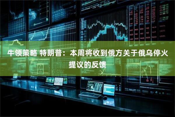 牛领策略 特朗普：本周将收到俄方关于俄乌停火提议的反馈