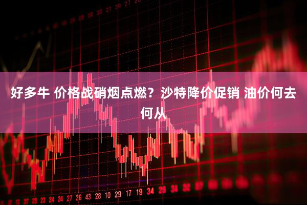 好多牛 价格战硝烟点燃？沙特降价促销 油价何去何从