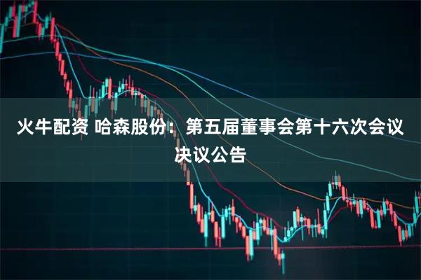火牛配资 哈森股份：第五届董事会第十六次会议决议公告
