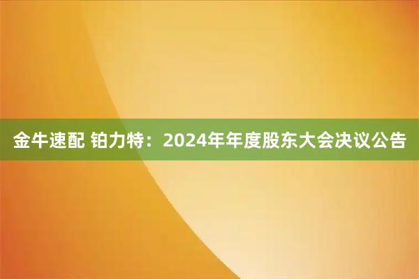 金牛速配 铂力特：2024年年度股东大会决议公告
