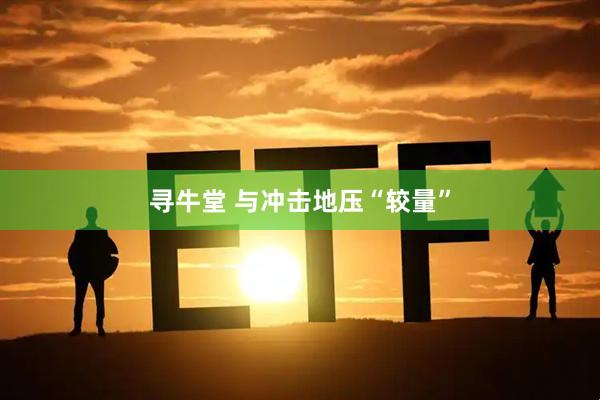 寻牛堂 与冲击地压“较量”