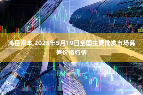 鸿岳资本 2025年5月19日全国主要批发市场莴笋价格行情